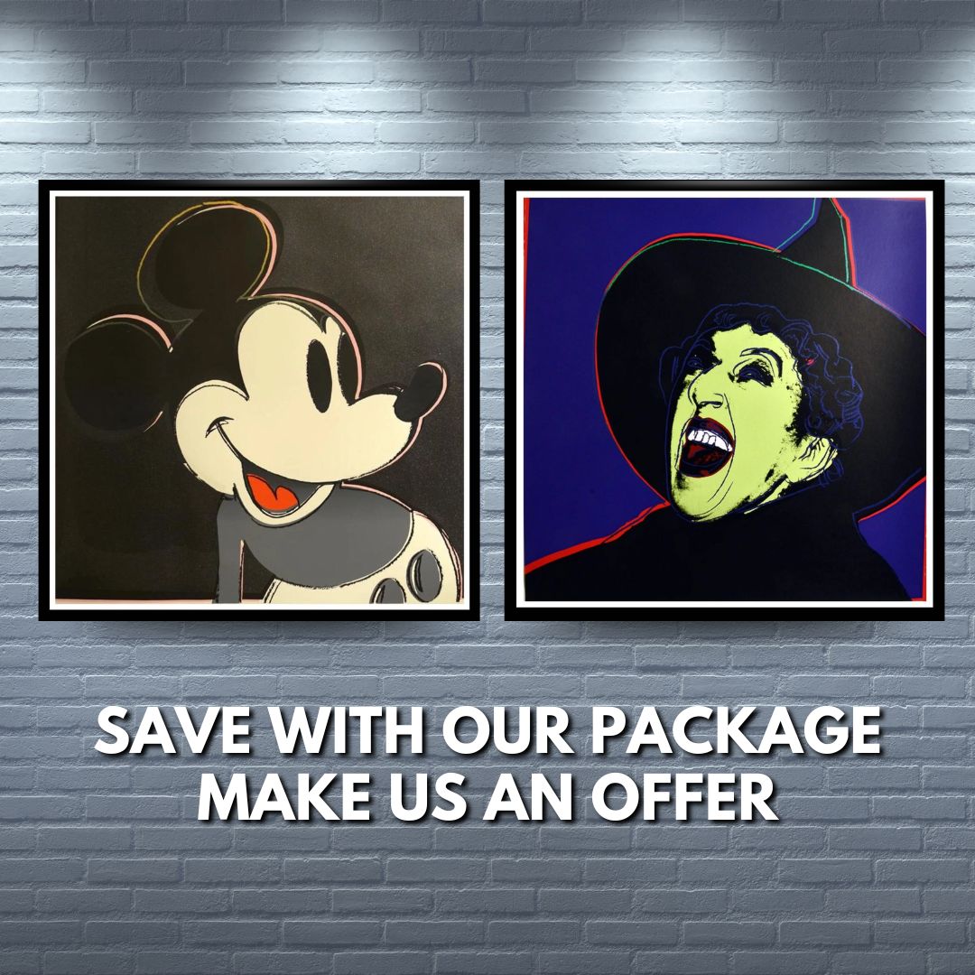 Warhol Mickey Witch 2 piece package